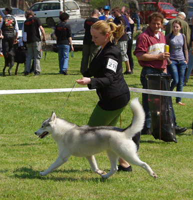 Sookie in movement