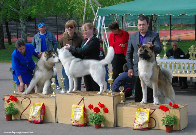 Sookie winning BOG