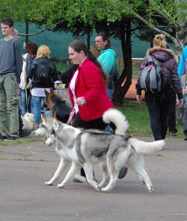 Lana and Pasek