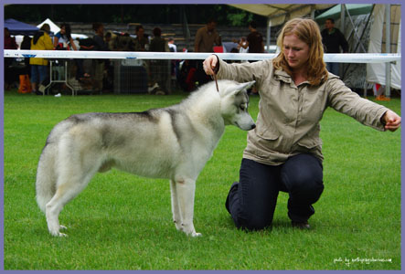 Debrecen CACIB HPJ