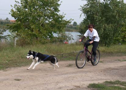 Emese and Elinor