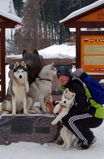 Laci and the dogs