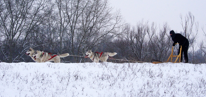 Winter training