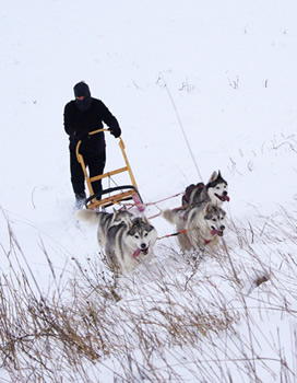 Winter training