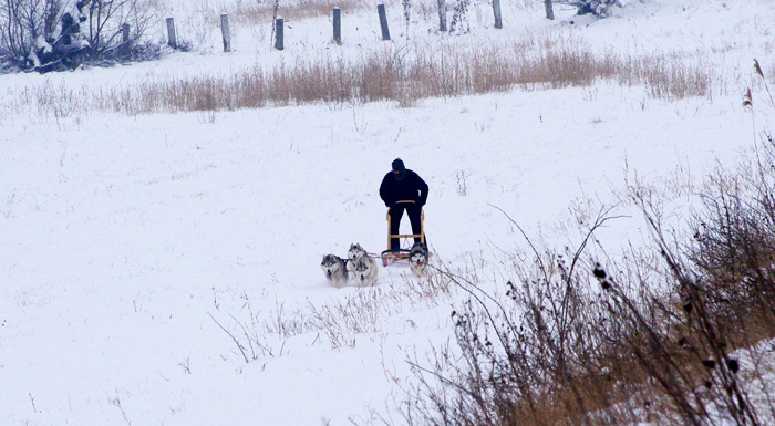 Winter training