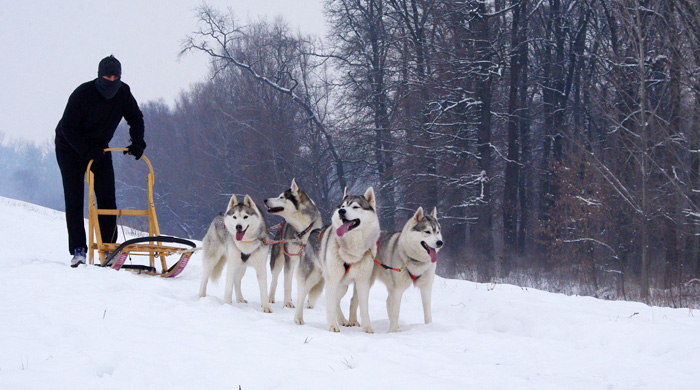 Winter training