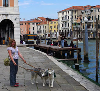 Venezia