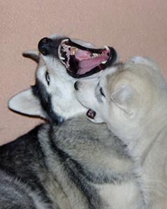 Lana and Slava